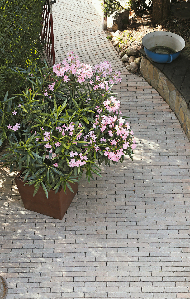 Gartenweg im mediterranen Stil mit MAURINO Pflastersteinen