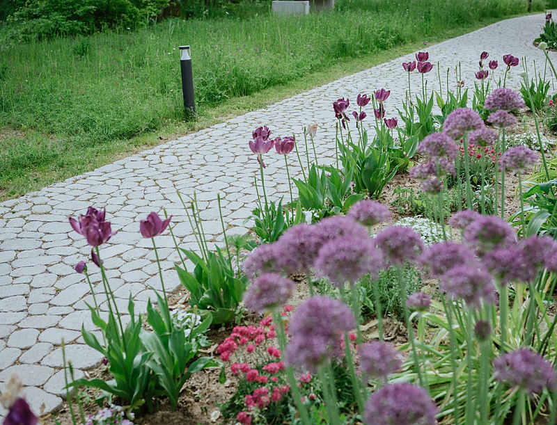 Gartenweg mit ARENA NOVA Pflastersteinen