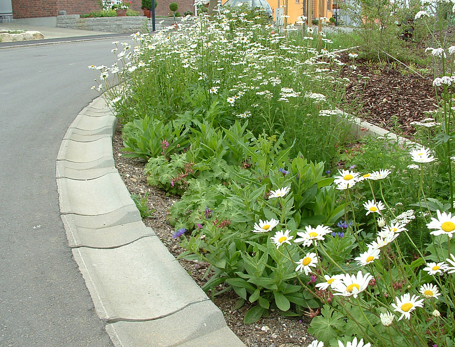 SF Ökorinne in der Farbe Naturgrau an einer Straße mit Ablauf in ein Pflanzenbeet