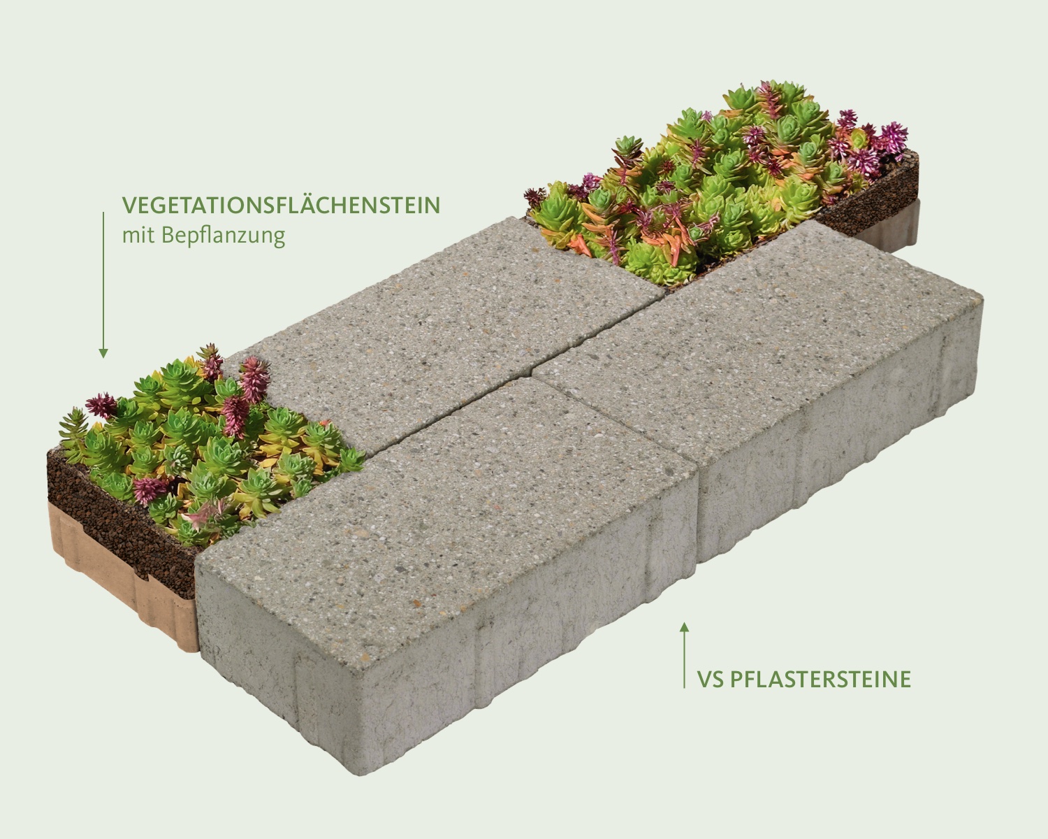 Vegetationsflächenstein mit Vegetationsfugenstein