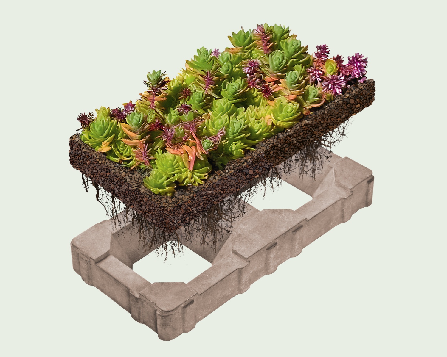 Vegetationsflächenstein mit Sedum