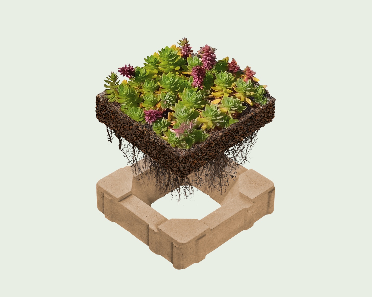 Vegetationsflächenstein 15x15 mit Sedum